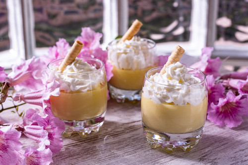 Thermomix Mango-Dessert