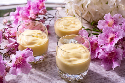 Thermomix Mangocreme