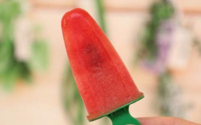 Thermomix Wassermeloneneis