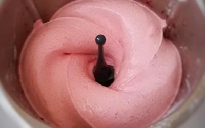 Thermomix Softeis