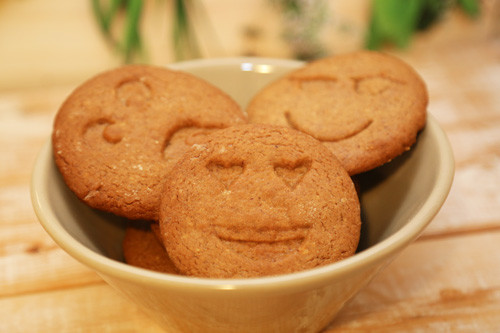 Pampered Chef Lebkuchen-Kekse