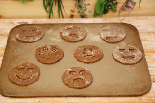 Pampered Chef Lebkuchen-Kekse