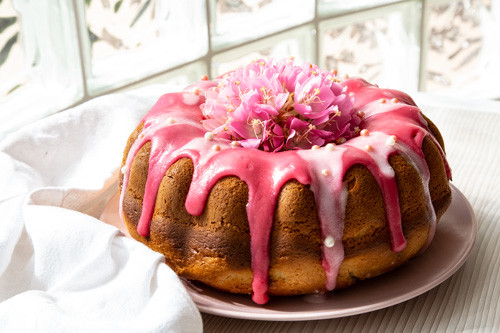 Pampered Chef Quarkkuchen Stück
