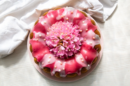 Pampered Chef Quarkkuchen von oben