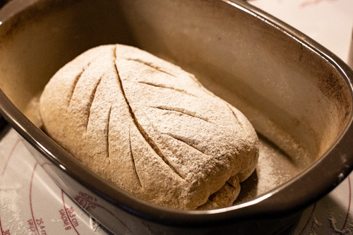 Stuttgart.web Pampered Chef Weizen-Roggen-Dinkel-Mischbrot-Teigling Stuttgart im Ofenmeister