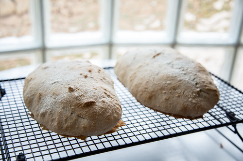 Pampered Chef Giabatta auf dem Kuchengitter