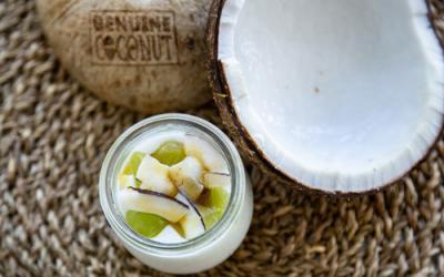 Veganer Kokos-Joghurt im Thermomix