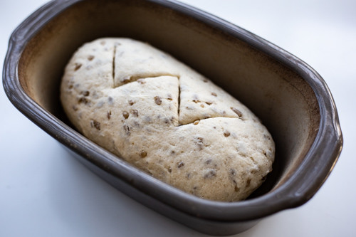 Pampered Chef Zaubermeister Dinkel-Kokos-Brot Teigling