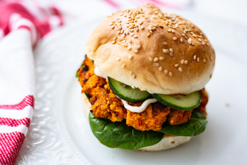 Thermomix Tofu-Patties