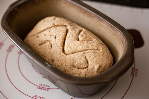 Pampered Chef Vollkorn-Weizen-Emmer-Brot Teigling im kleinen Zaubermeister