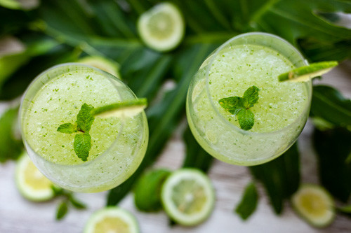 Thermomix Mojito-Sorbet