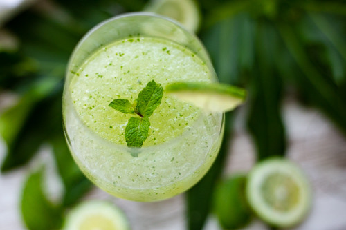 Thermomix Mojito-Slushie