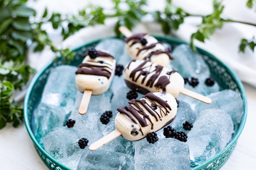 Thermomix Joghurt-Eis