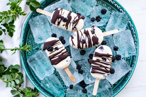 Thermomix Joghurt-Eis