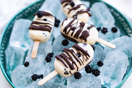 Thermomix Joghurteis