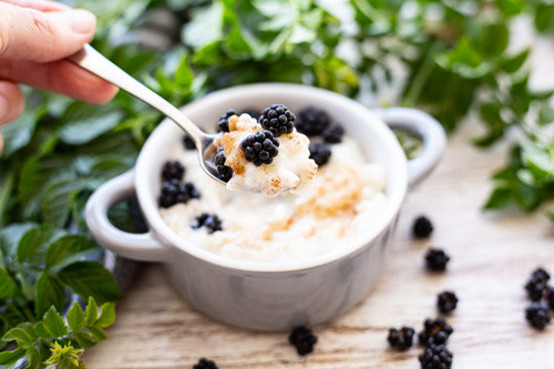 Thermomix Milchreis