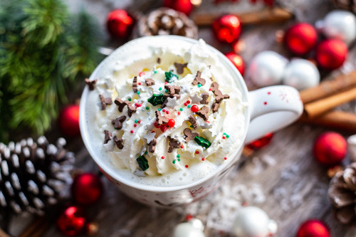 Thermomix Weihnachtsmilch