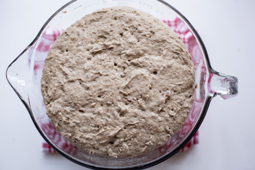 Pampered Chef Teig Roggensauerteigbrot Teig nach Gehzeit